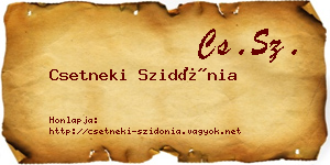 Csetneki Szidónia névjegykártya